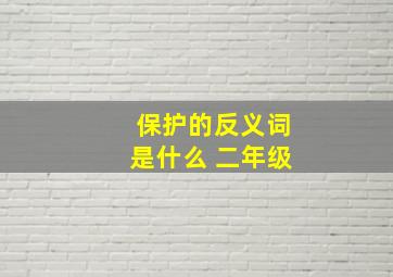 保护的反义词是什么 二年级